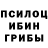 Галлюциногенные грибы прущие грибы Ircha Arapova