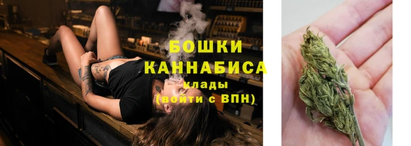 дживик Кулебаки