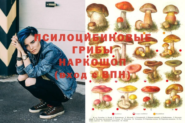 метамфетамин Гвардейск