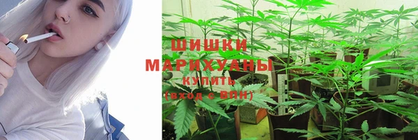 дживик Кулебаки