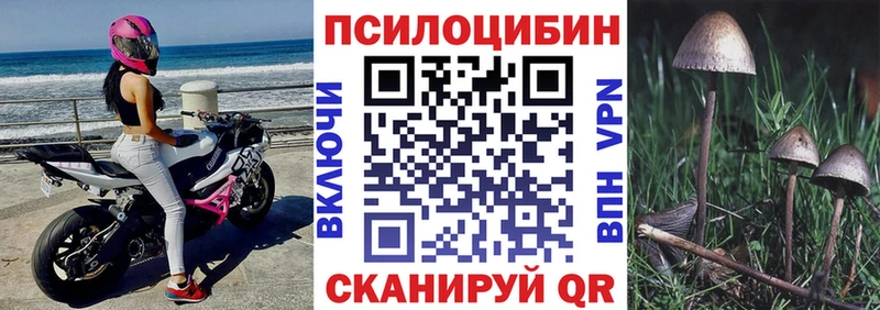 KRAKEN сайт  Куровское  Псилоцибиновые грибы Cubensis 