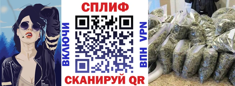 мега ссылка  Куровское  Конопля Bruce Banner 